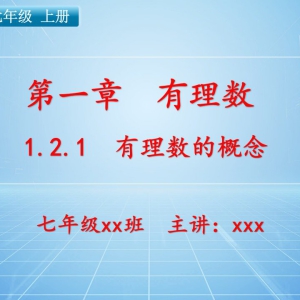 【新人教版】七年级（上）数学课件：第一章 有理数1.2.1 有理数的概念 ...